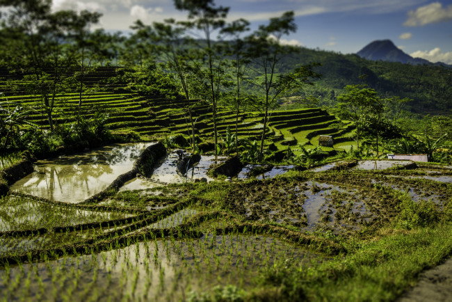 Обои картинки фото природа, горы, террасы