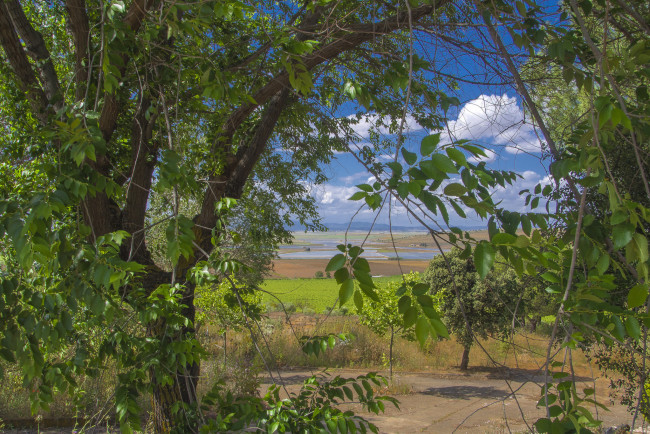 Обои картинки фото природа, пейзажи, флора