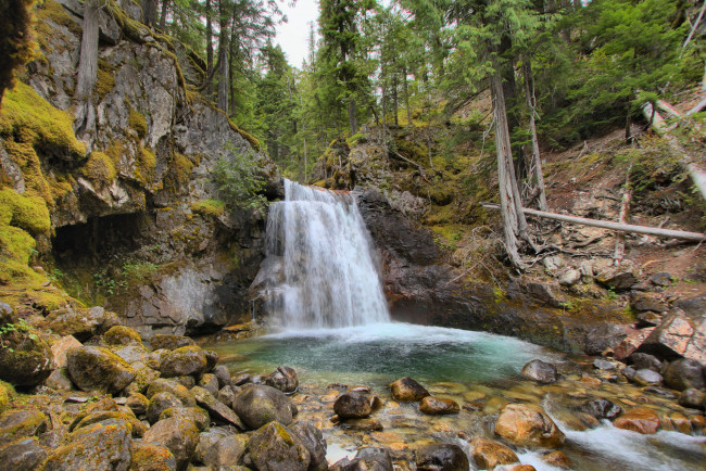 Обои картинки фото природа, водопады, река, лес, водопад