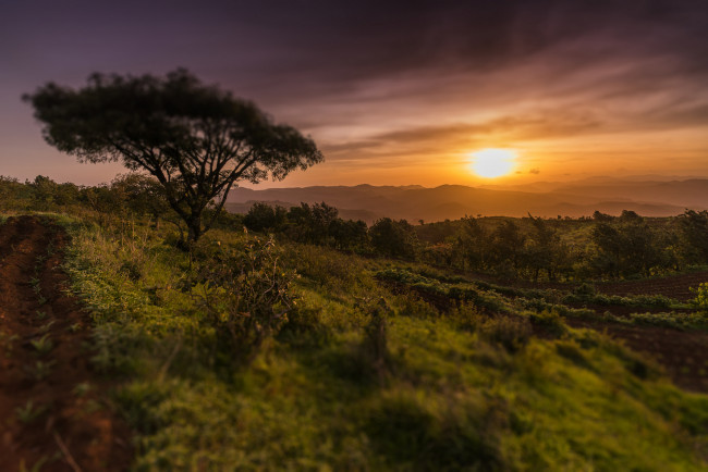 Обои картинки фото природа, восходы, закаты, рассвет