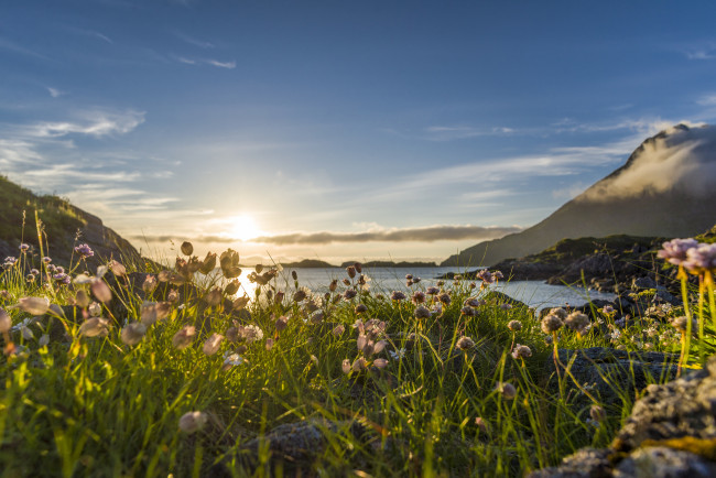 Обои картинки фото природа, восходы, закаты, рассвет