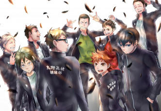 Картинка аниме haikyuu карасуно