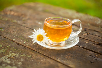 Картинка еда напитки +Чай напиток чай зеленый цветы