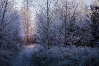 Картинка природа зима простор