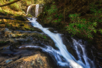 Картинка природа реки озера простор