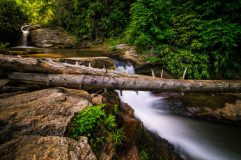 Картинка природа реки озера простор