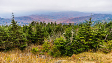 Картинка природа пейзажи простор