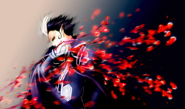 Картинка аниме +gray-man демон