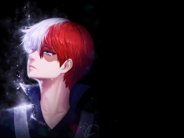 Обои картинки фото аниме, boku no hero academia, шото