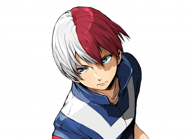 Обои картинки фото аниме, boku no hero academia, тодороки