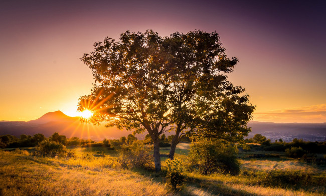 Обои картинки фото природа, восходы, закаты, простор