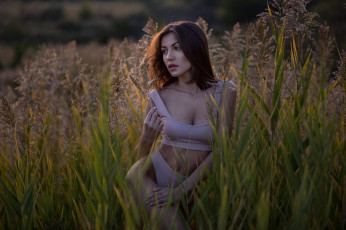 Картинка девушка девушки -unsort+ брюнетки темноволосые модель