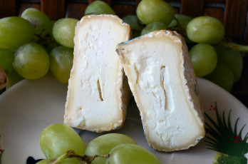 Картинка еда сырные+изделия сыр