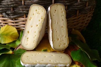 Картинка еда сырные+изделия сыр