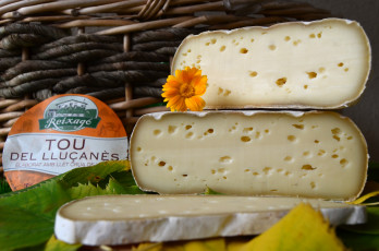 Картинка еда сырные+изделия сыр