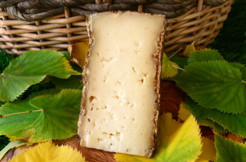 Картинка еда сырные+изделия сыр