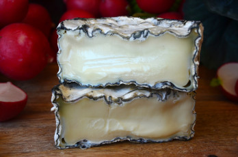 Картинка еда сырные+изделия сыр