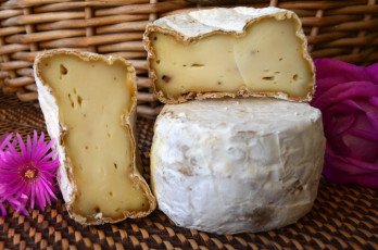 Картинка еда сырные+изделия сыр