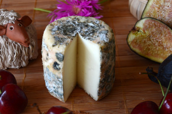 Картинка еда сырные+изделия сыр