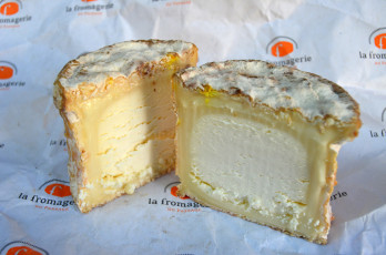 Картинка еда сырные+изделия сыр