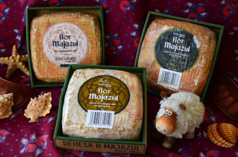 Картинка еда сырные+изделия сыр