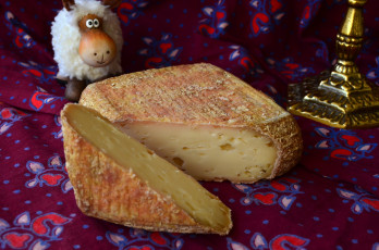 Картинка еда сырные+изделия сыр