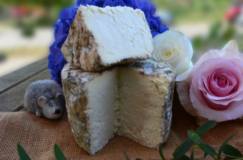 Картинка еда сырные+изделия сыр