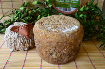 Картинка еда сырные+изделия сыр