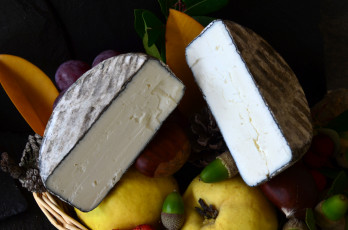 Картинка еда сырные+изделия сыр