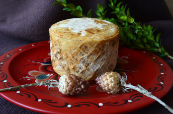 Картинка еда сырные+изделия сыр