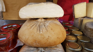 Картинка еда сырные+изделия сыр