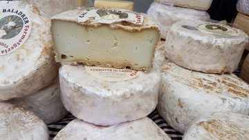 Картинка еда сырные+изделия сыр