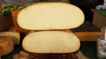 Картинка еда сырные+изделия сыр