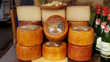 Картинка еда сырные+изделия сыр