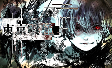 Картинка аниме tokyo+ghoul токийский гуль