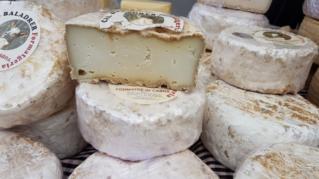 Обои картинки фото еда, сырные изделия, сыр