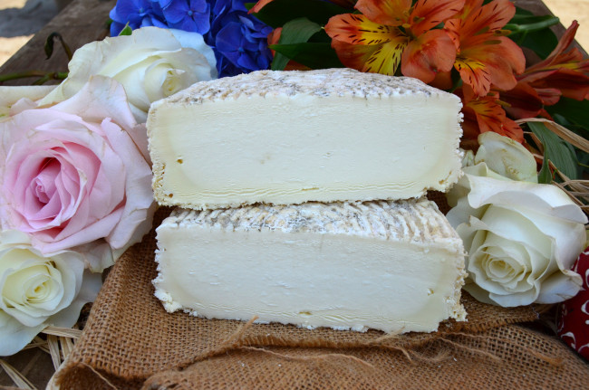 Обои картинки фото еда, сырные изделия, сыр