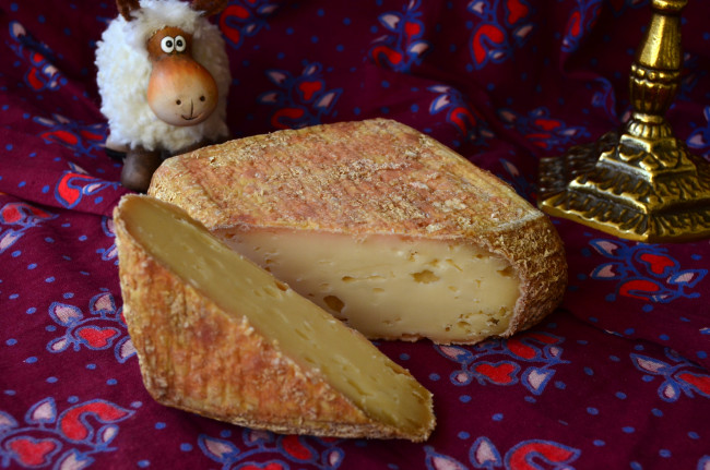 Обои картинки фото еда, сырные изделия, сыр