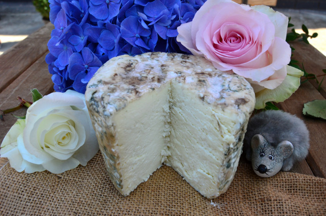 Обои картинки фото еда, сырные изделия, сыр