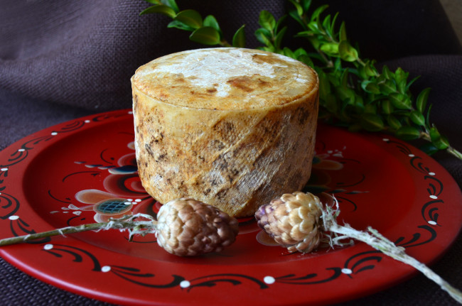 Обои картинки фото еда, сырные изделия, сыр