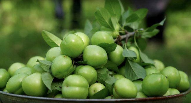 Обои картинки фото еда, персики,  сливы,  абрикосы, листья, сливы, зеленые