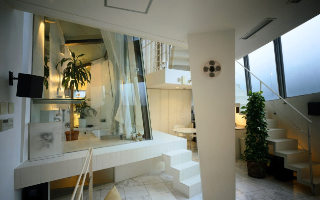 Обои картинки фото интерьер, холлы,  лестницы,  корридоры, дом, лестница, растения, стекло, коридор