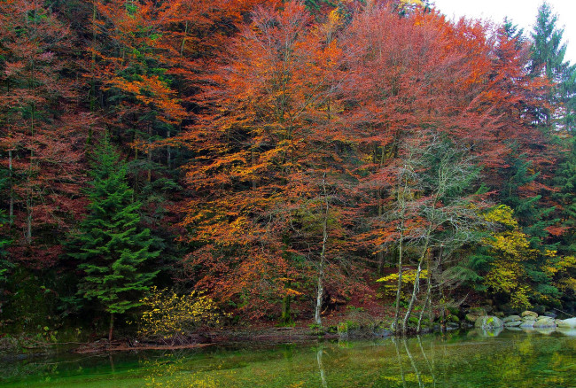 Обои картинки фото природа, реки, озера, лес, осень, деревья, озеро