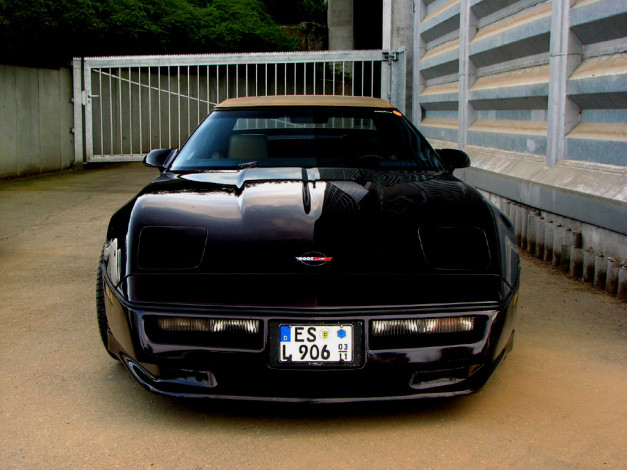 Обои картинки фото автомобили, corvette