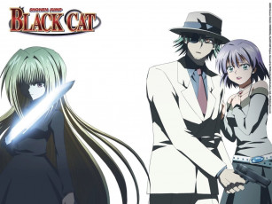 Картинка аниме black cat