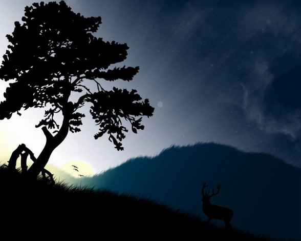 Обои картинки фото векторная, графика