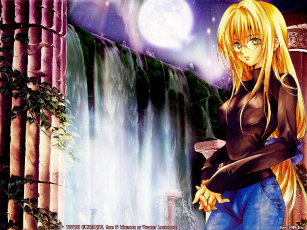 Обои картинки фото аниме, black, cat