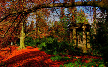 Картинка природа парк