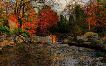 Картинка природа реки озера