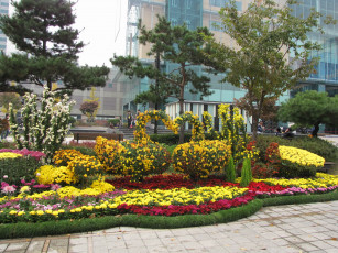 Картинка города другое цветы клумба здания деревья